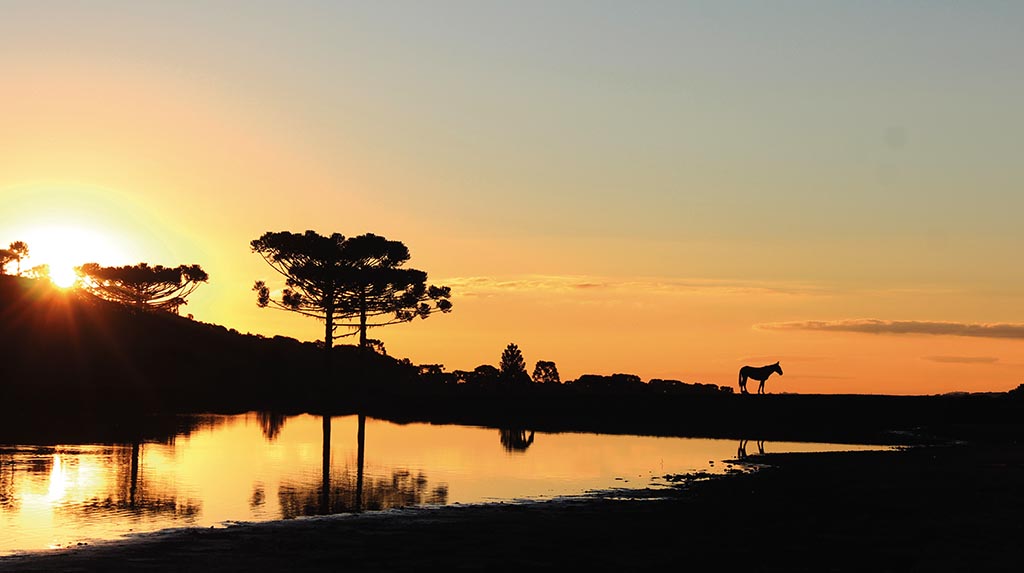 Viagem a cavalo: o pôr do sol na Coxilha Rica, com um lago e araucárias ao fundo