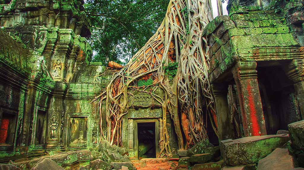 Templos de Angkor: Templo Ta Prohm tomado por figueiras