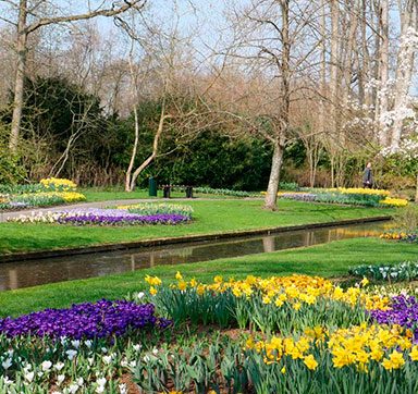 Keukenhof 2022