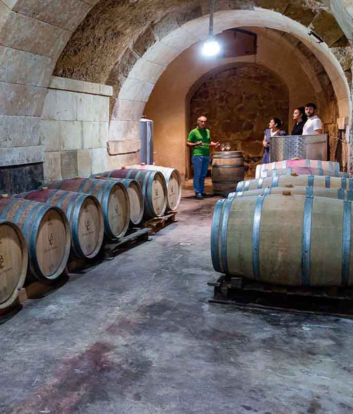 rota dos vinhos espanha - cave vinã ver
