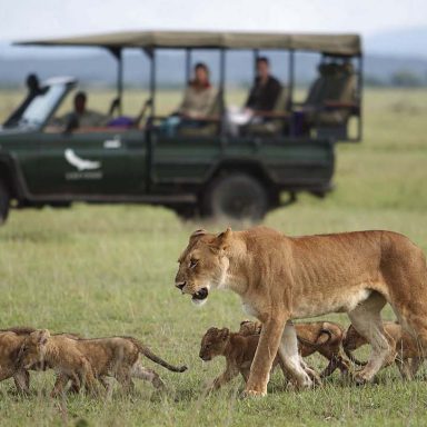 andBeyond Grumeti Serengeti River Lodge