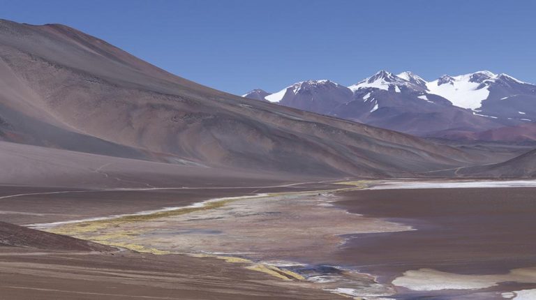Altiplano Andino