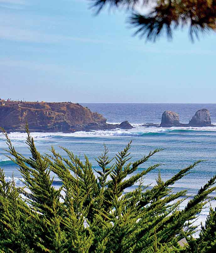 Point de surf: Punta de Lobos