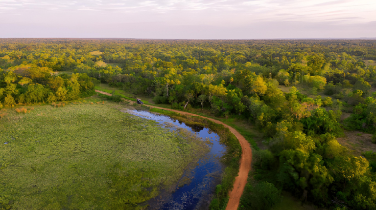 O acesso à Casa Caiman, pousada no Pantanal