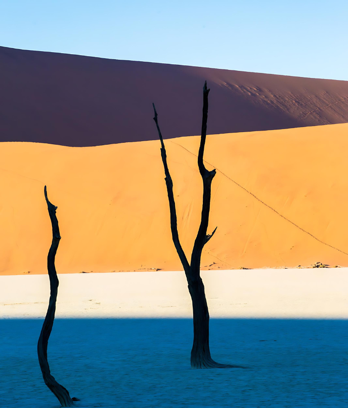 Deserto da Namíbia com as sombras e formas no deslumbrante Deadvlei
