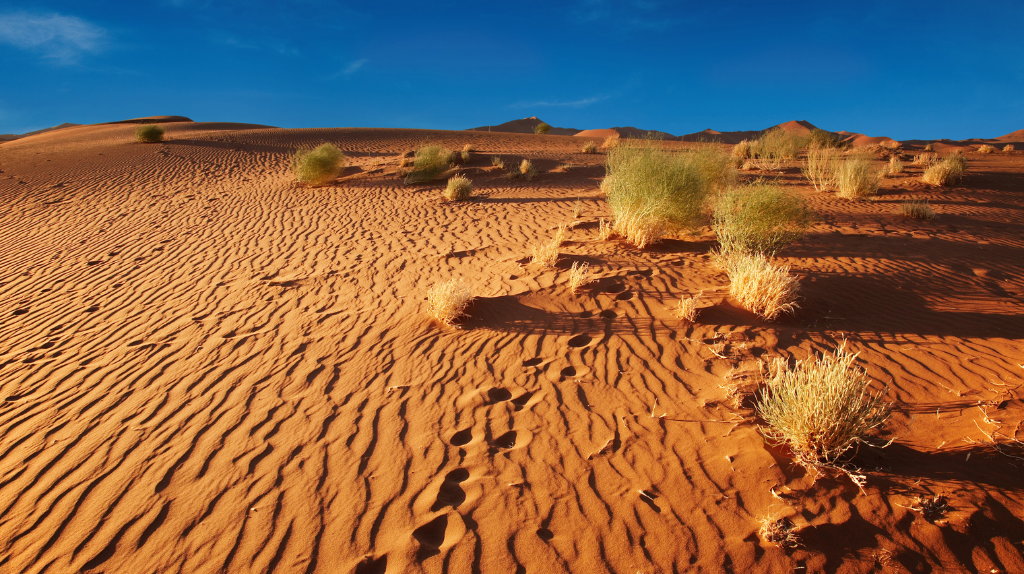 Viagem ao deserto da Namíbia com as dunas douradas de Soussusvlei
