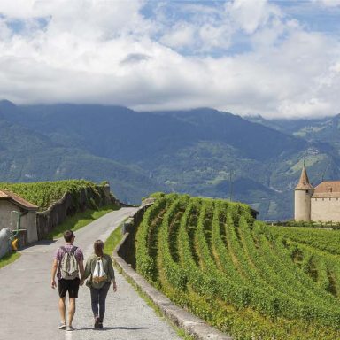 Vinhos suícos Um brinde à Suíça