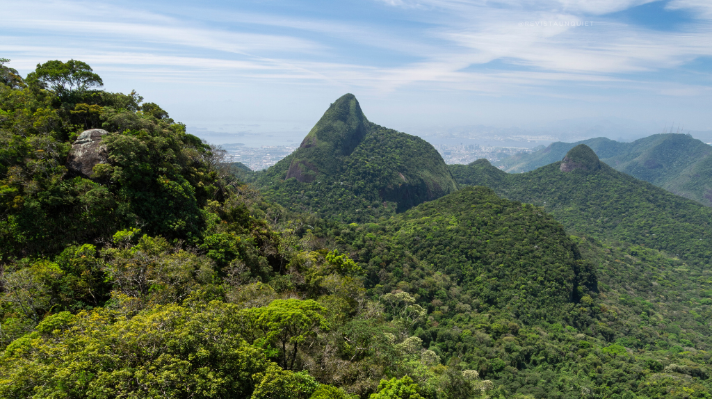 Dia Mundial do Meio Ambiente Reflorestamento da Floresta da Tijuca Rio de Janeiro

