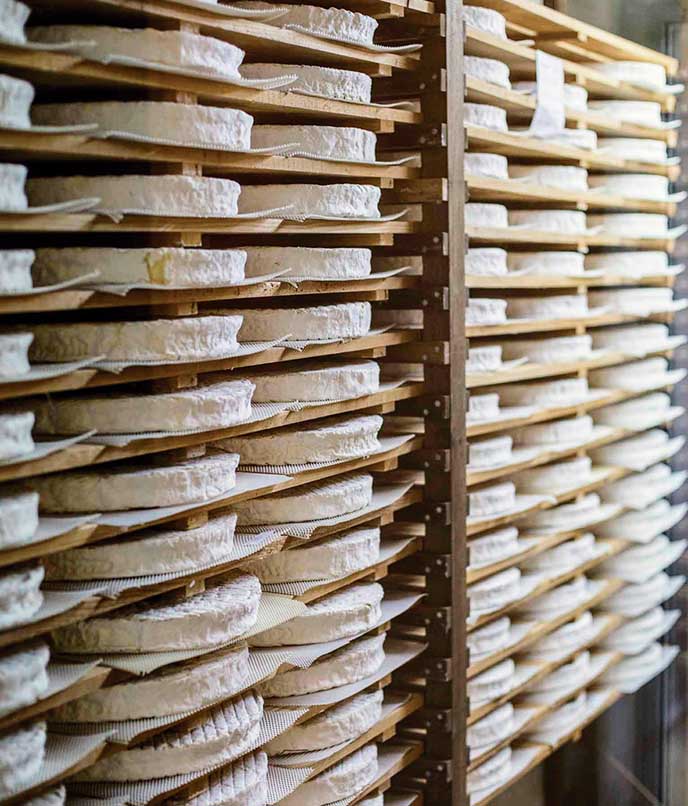 Tour de queijos em Paris Fromagerie Ganot sala de maturação da Fromagerie Ganot