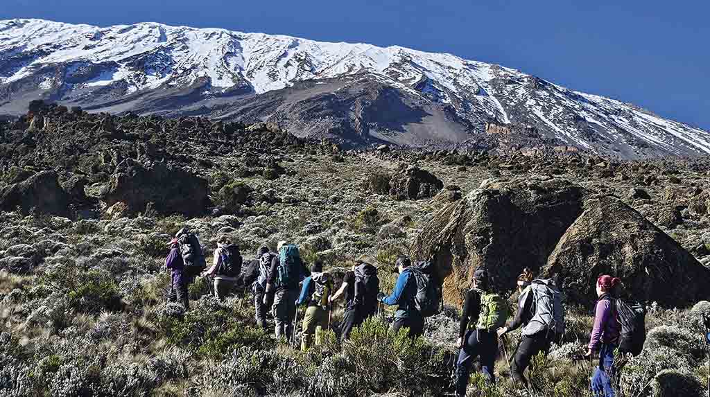 Terceiro dia de Trekking ao cume do Kilimanjaro África