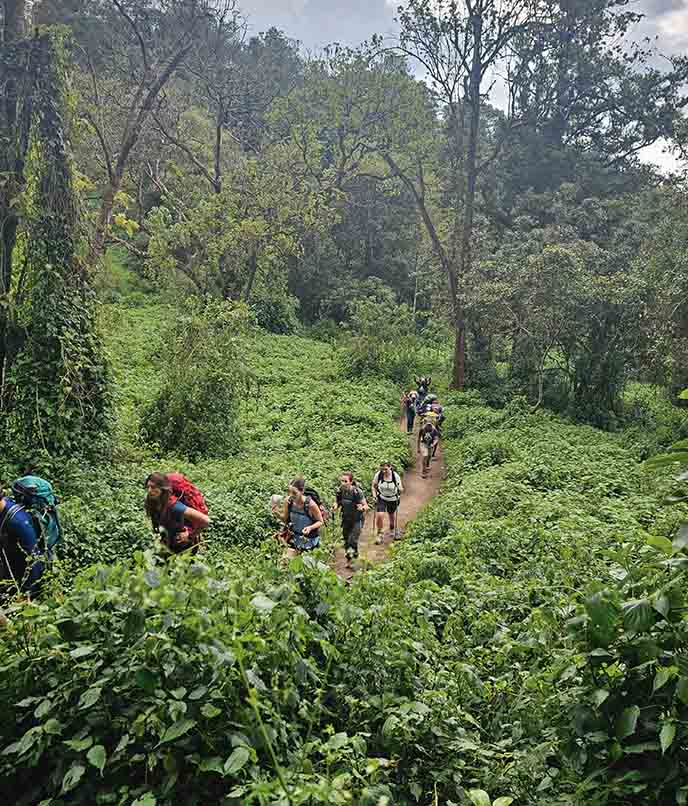 Caminhada Trekking ao cume do Kilimanjaro África