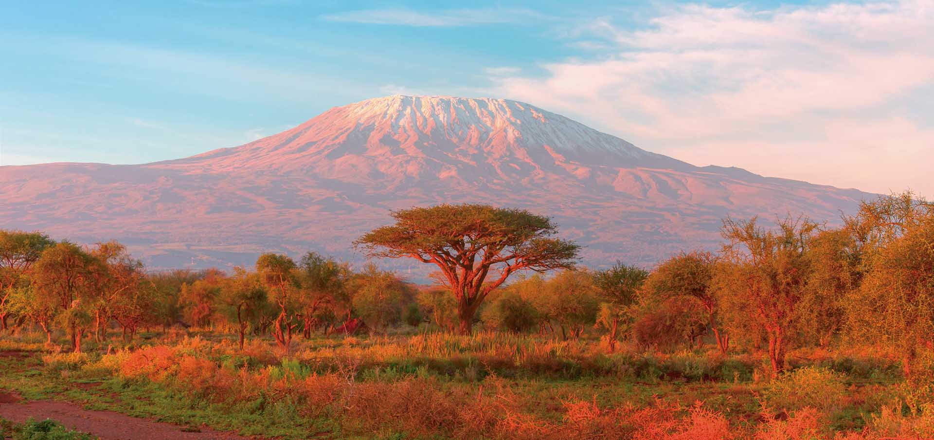 Trekking ao cume do Kilimanjaro África abre