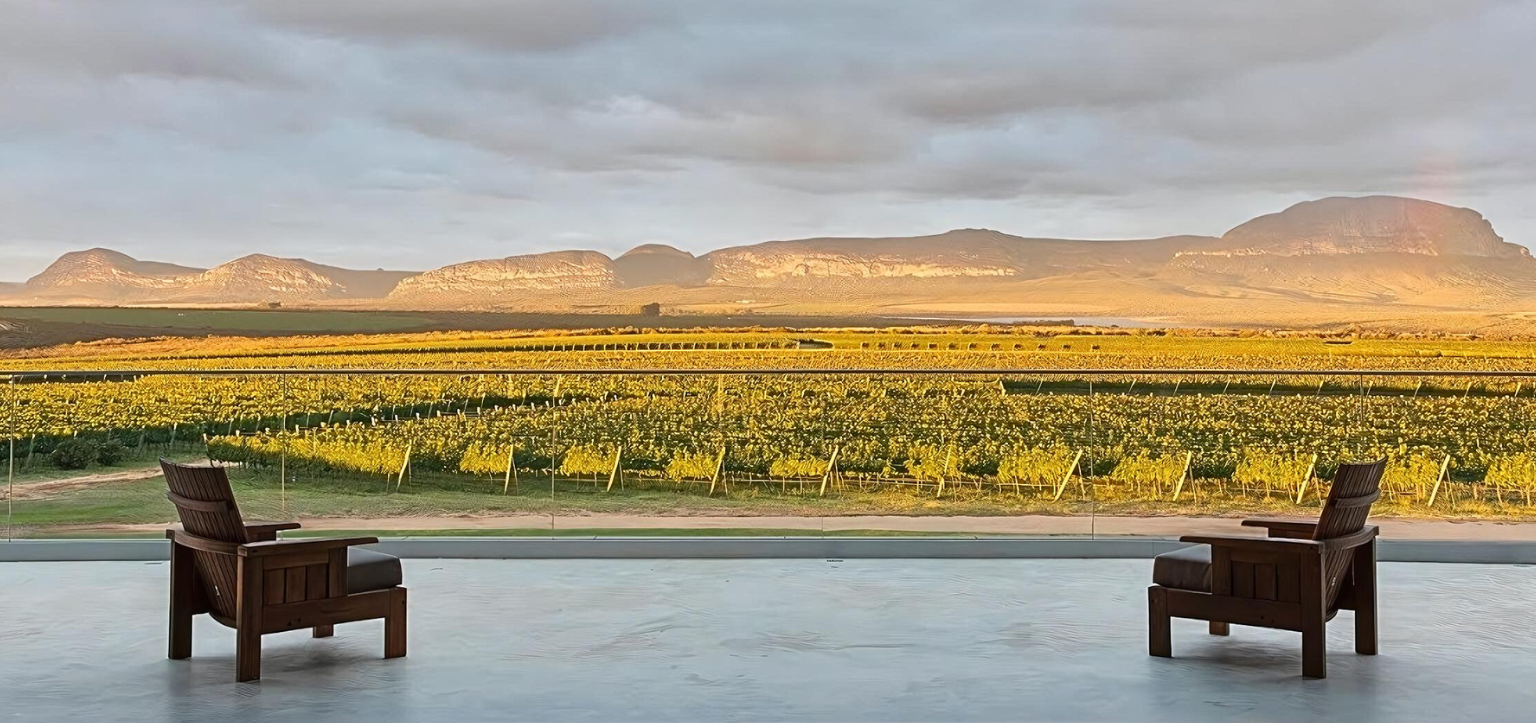 Vinicolas no Brasil UVVA