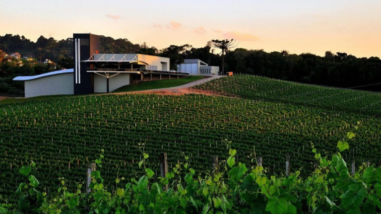 Vinicolas brasileiras Luiz Argenta Arquitetura