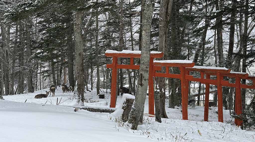 Ilha de Hokkaido santuários sintoístas