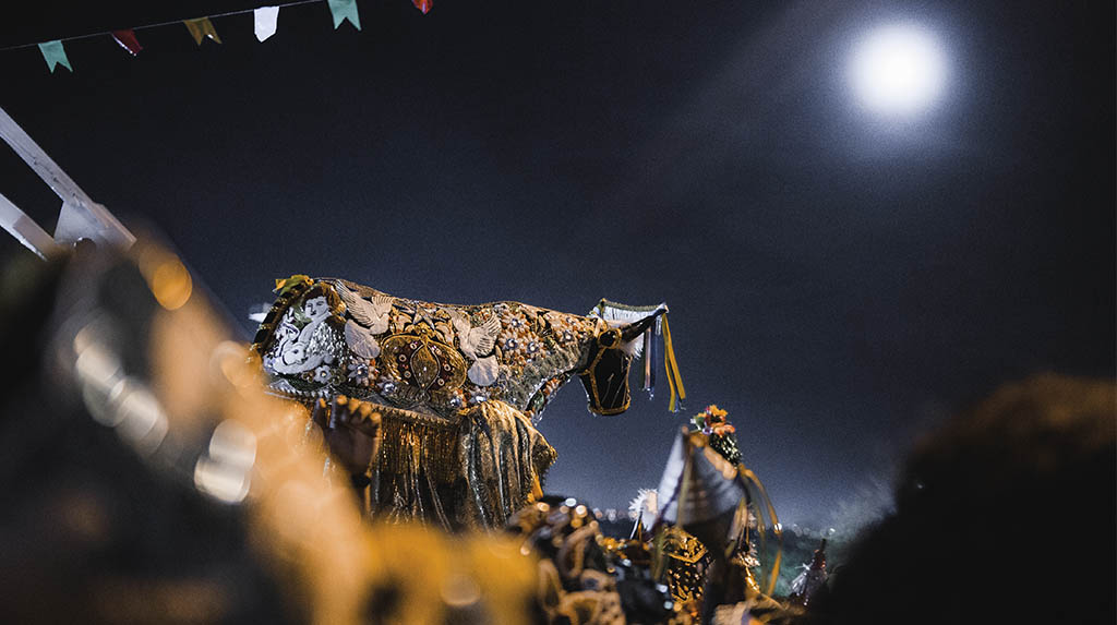 Festival no Maranhão: bumba meu boi e o ritual do Boi na Lua Cheia