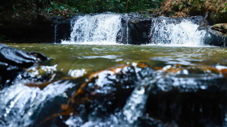 Parque Nacional Serra do Divisor