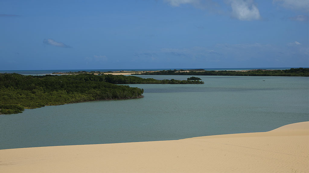 Panorama amplo das dunas encontrando manguezais e o Atlântico, sem construções à vista.