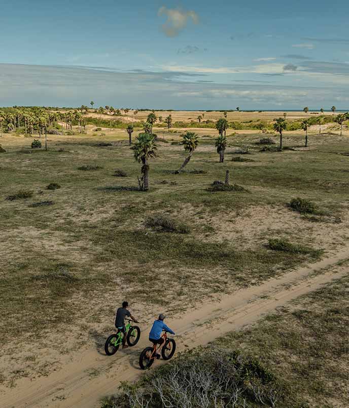 Hóspedes pedalando por trilha de areia entre coqueirais rumo à praia de Barra dos Remédios.