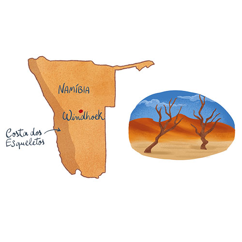 Ilustração editorial de Antônio Tavares representando a viagem pela Namíbia.