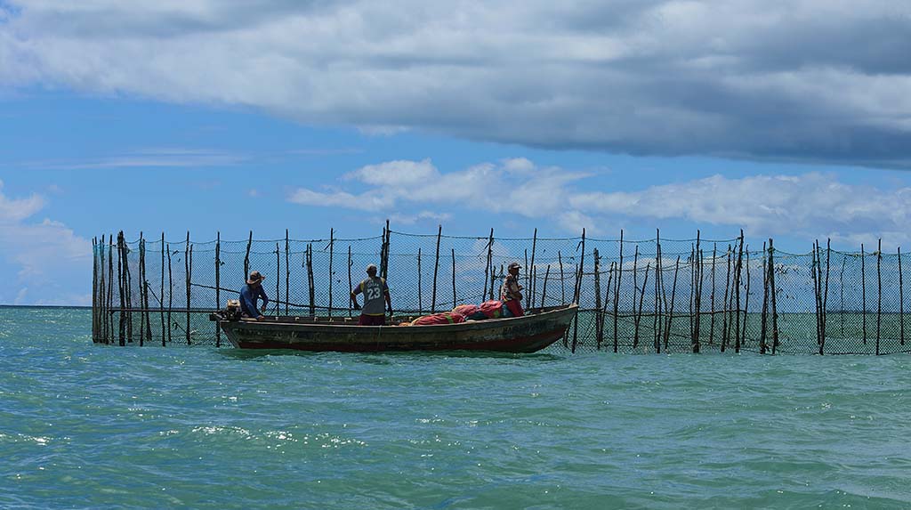 Estruturas de madeira dos currais de pesca montadas no mar raso de Bitupitá, com pescadores trabalhando na maré baixa.