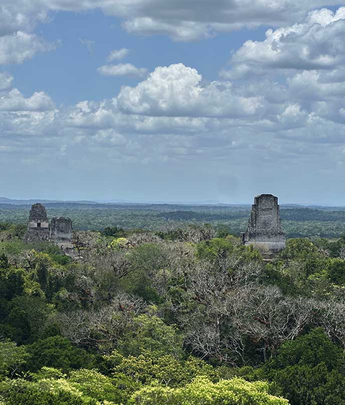 Templos maias de Tikal surgindo acima da floresta na Guatemala, vista clássica para quem busca roteiro arqueológico pela Rota Maia