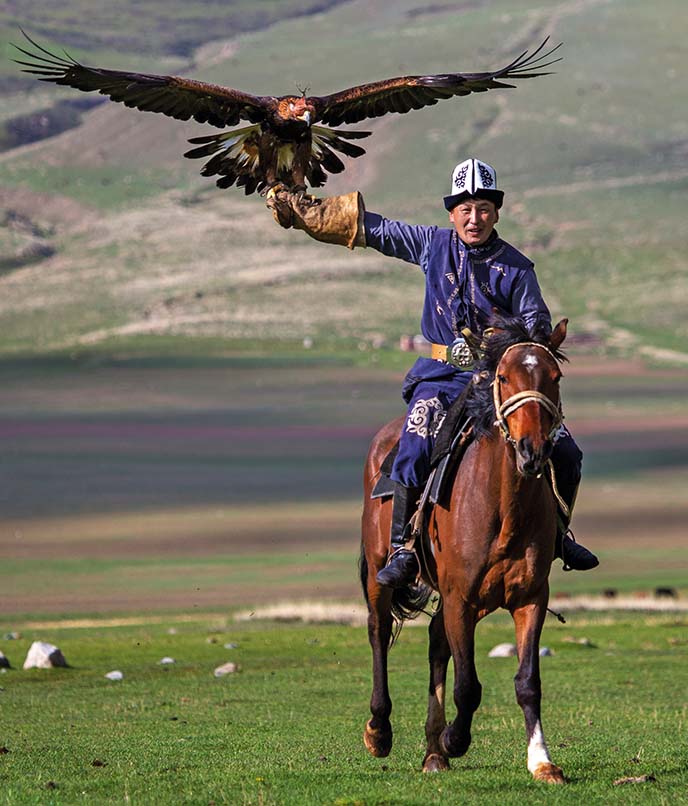 Falcoeiro do Quirguistão montado a cavalo com águia-real em pleno voo, tradição nômade da Ásia Central praticada nas estepes de Song-Kul
