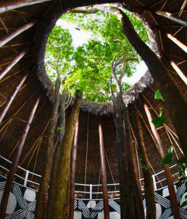Oca de madeira da Fazenda Shanti na Chapada dos Veadeiros, com árvores preservadas no centro e abertura circular para o céu A oca da Fazenda Shanti