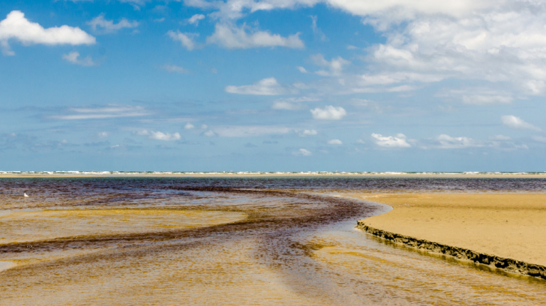 Superagui: canal de maré contorna banco de areia sob céu azul com nuvens, em praia de maré baixa no litoral do Paraná, Brasil