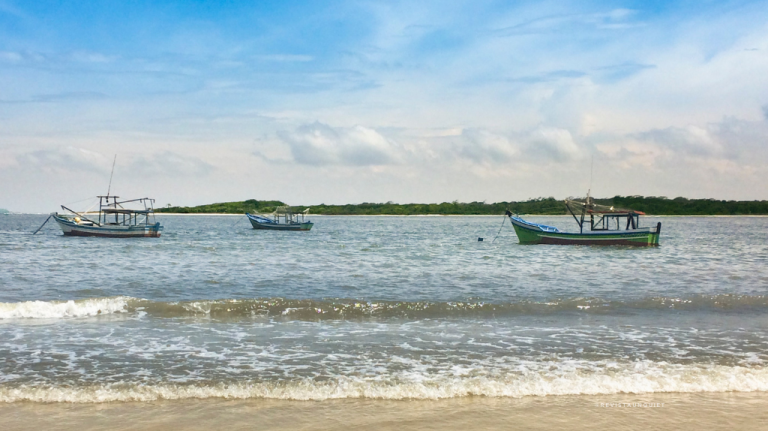 No Superagui, barcos de pesca ancorados em mar tranquilo próximos à praia, com linha de vegetação costeira ao fundo e céu aberto, litoral brasileiro