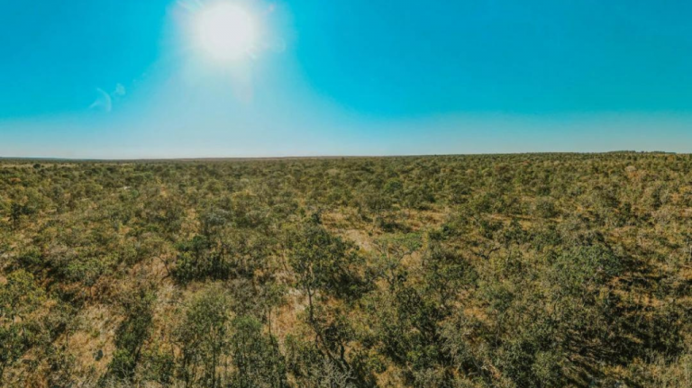 Vista ampla do Cerrado brasileiro, com vegetação baixa e horizonte aberto, ilustrando o bioma presente na região da Pousada Trijunção.