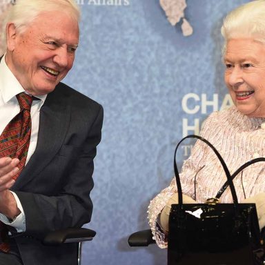 David Attenborough conviveu intensamente com a natureza, encantou o mundo e foi nomeado cavaleiro pela rainha Elizabeth II