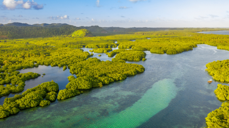 Vista aérea de áreas alagadas e ilhas cobertas por vegetação tropical, usada para ilustrar a paisagem amazônica e a relação entre água e floresta.