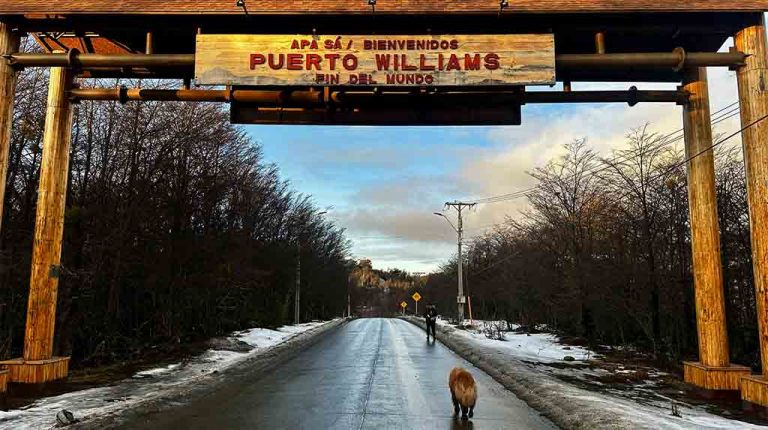 Viagem pelas Américas com um cachorro