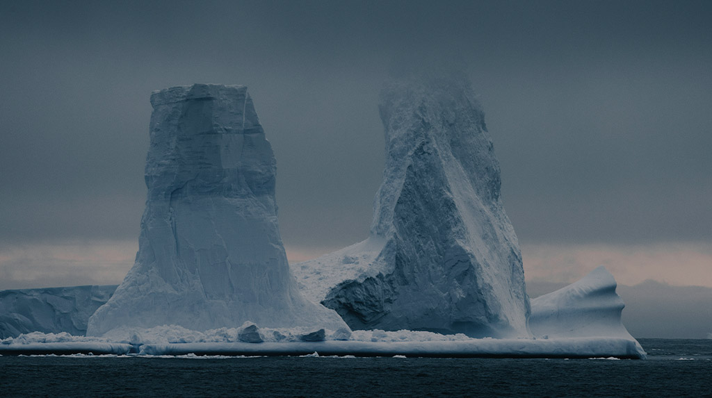 Icebergs no mar da Geórgia do Sul, em paisagem subantártica marcada por gelo, montanhas e vida selvagem.