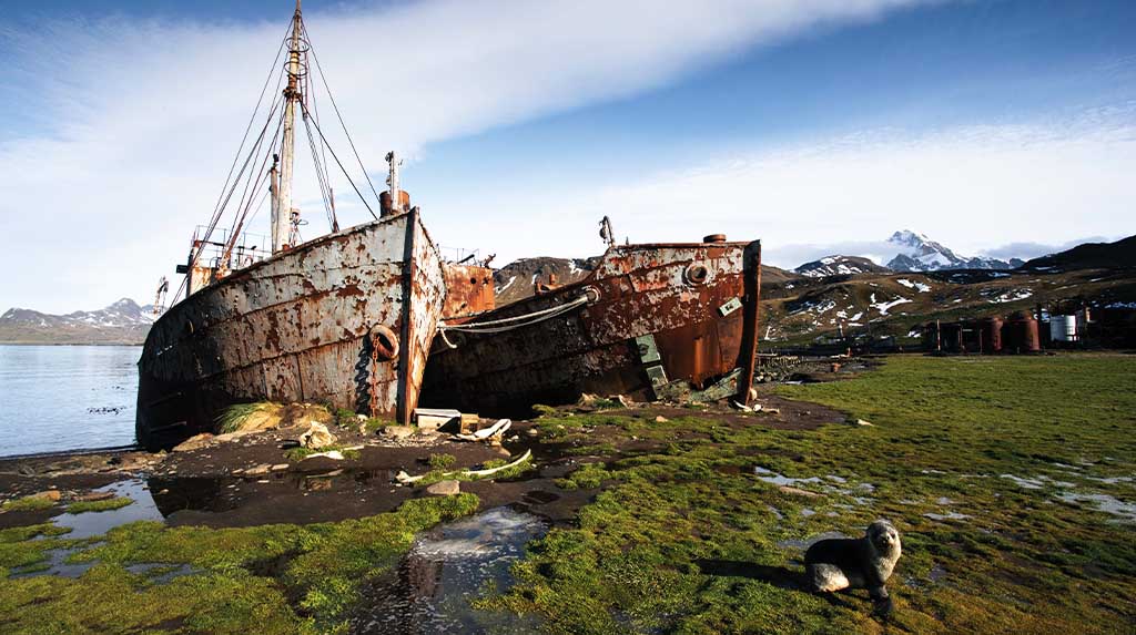 Antiga estrutura ligada à história marítima e baleeira de Grytviken, na Geórgia do Sul, território subantártico do Atlântico Sul.